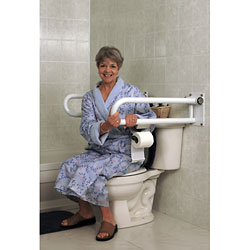 HealthCraft P.T. Rail Floor Mast - Toilet Roll Holder Price: $20.75